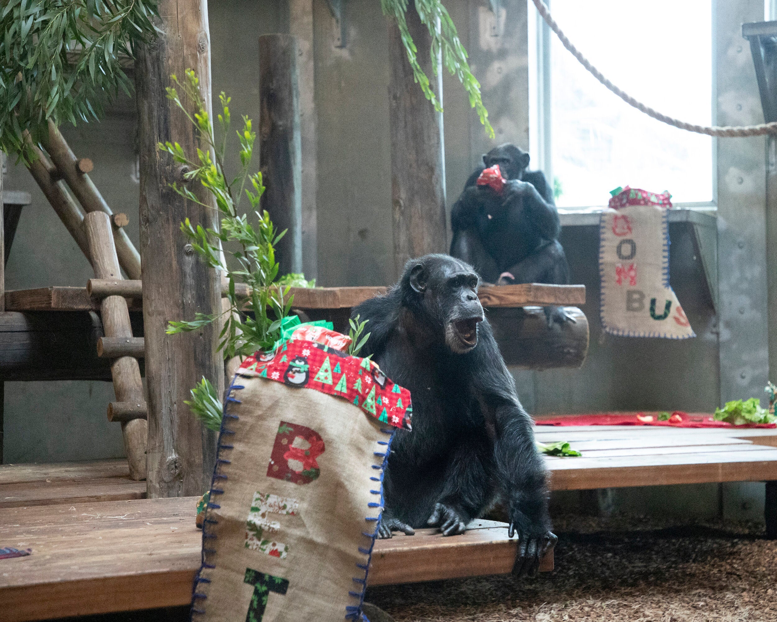 Burlap at the Zoo!