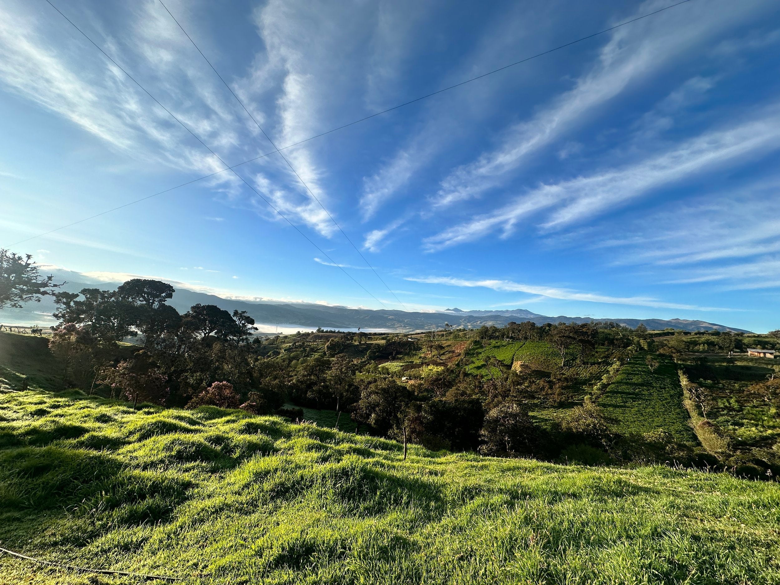 The Elegant and Sophisticated Sibling: Colombia Inza Asorcafe