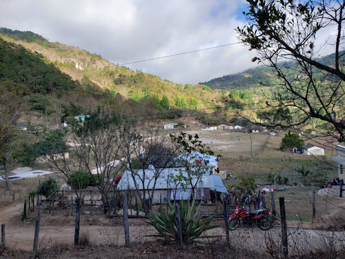 Catracha Coffee Company and Uplifting the Santa Elena Community Through Specialty Coffee