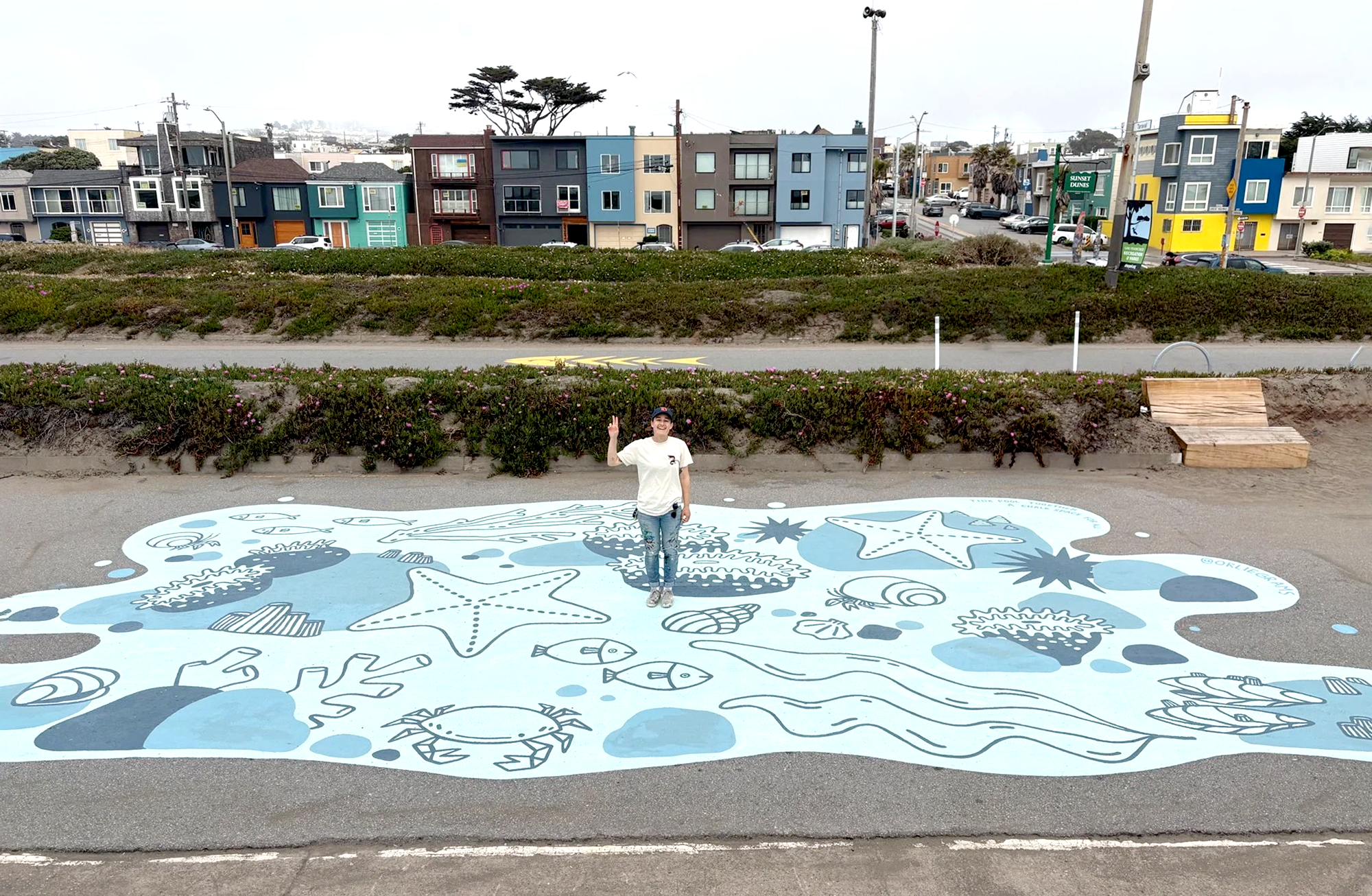 Meet the Artist: Orlie Kapitulnik