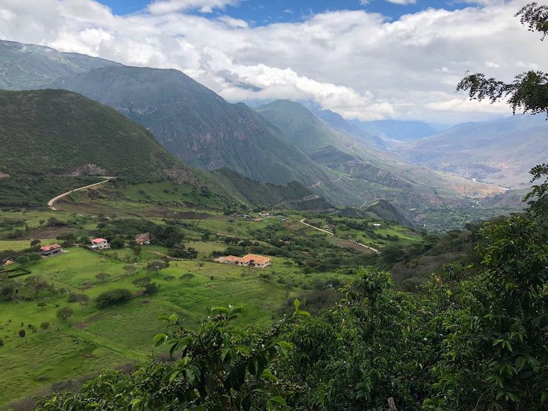 The Turning Point Project: Our Connection to Juan Peña in Ecuador