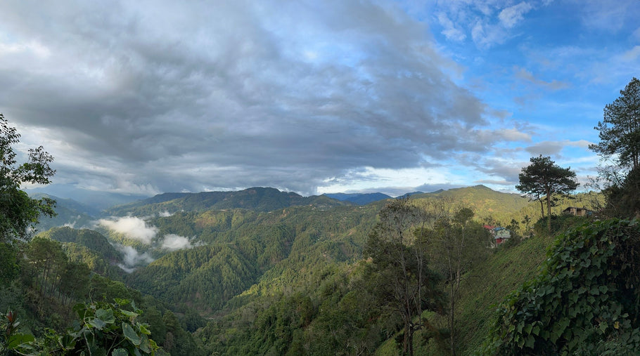 Majestic Mountains and Rolling Hills in the Philippines: Visiting Kalsada Coffee