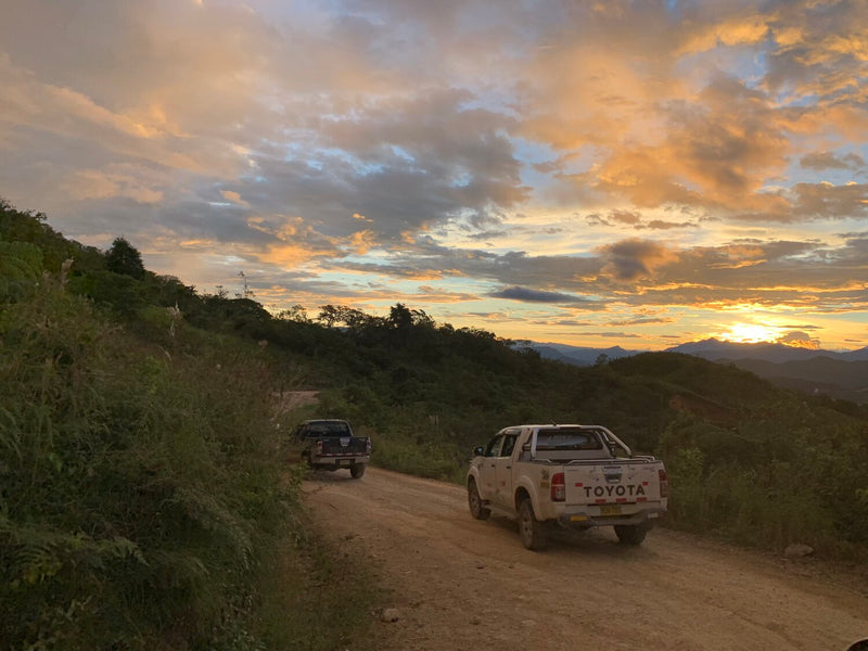 Peru Satipo Finca Tasta: How Origin Trips Can Connect Us to Producers in Other Ways