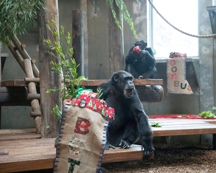 Burlap at the Zoo!