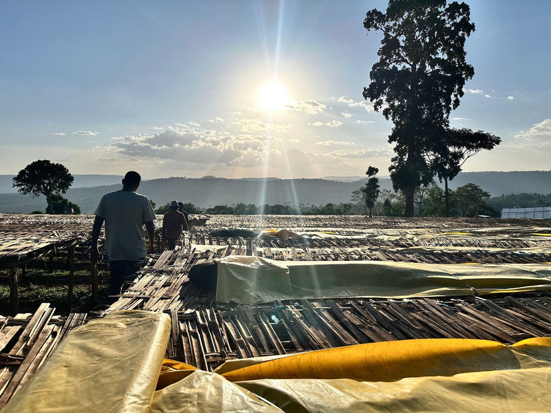 Driving 4x4s Through Lush Greenery and Red Soil: Our First Origin to Ethiopia & Our Latest Natural Coffee