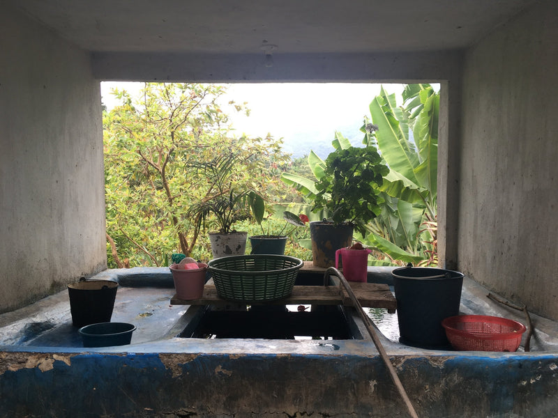 How Are Things in Bella Vista, Mexico?