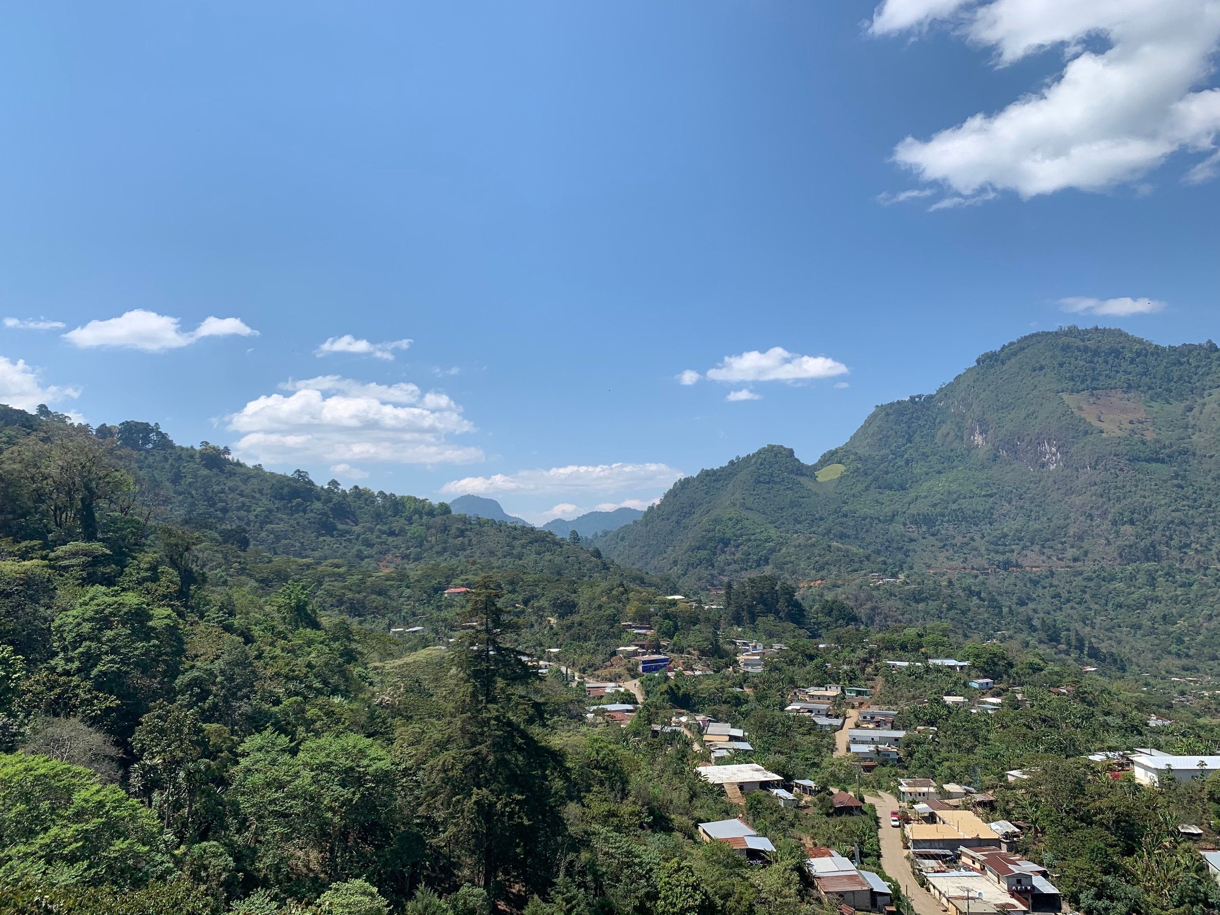 Updates from Mayan Havevest in Bella Vista, Chiapas