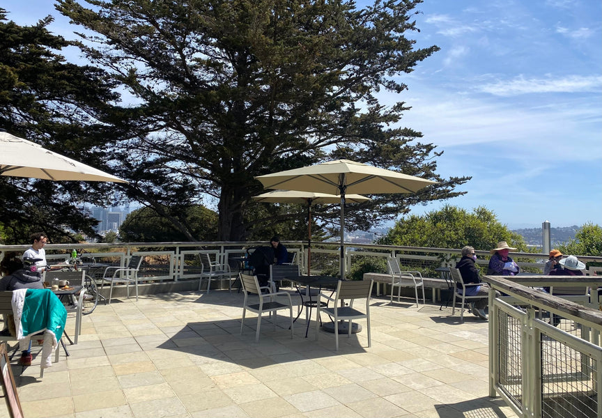 Partner Feature: Cafe Josephine at the Randall Museum