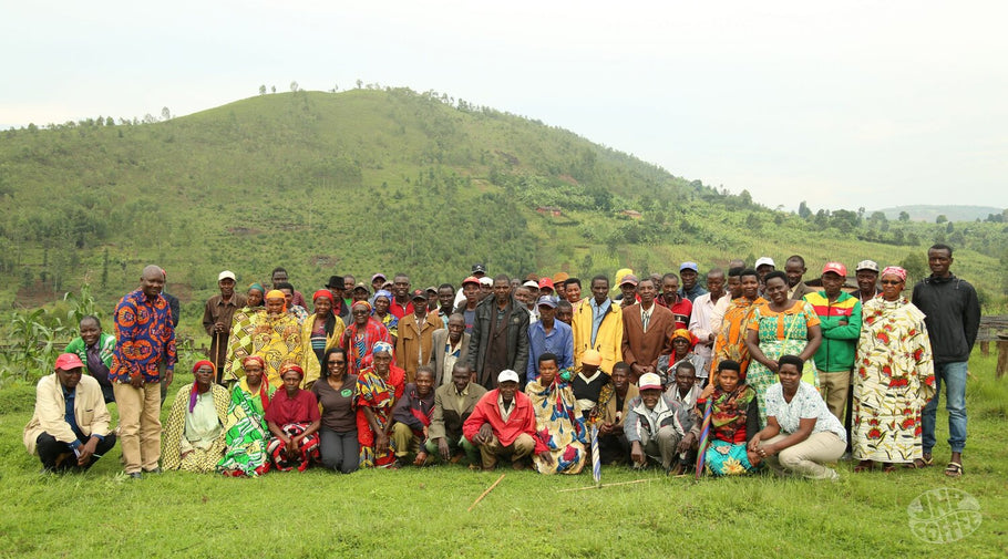 A Lovely Selection from JNP Coffee: Burundi Natural Ngozi Bavyeyi