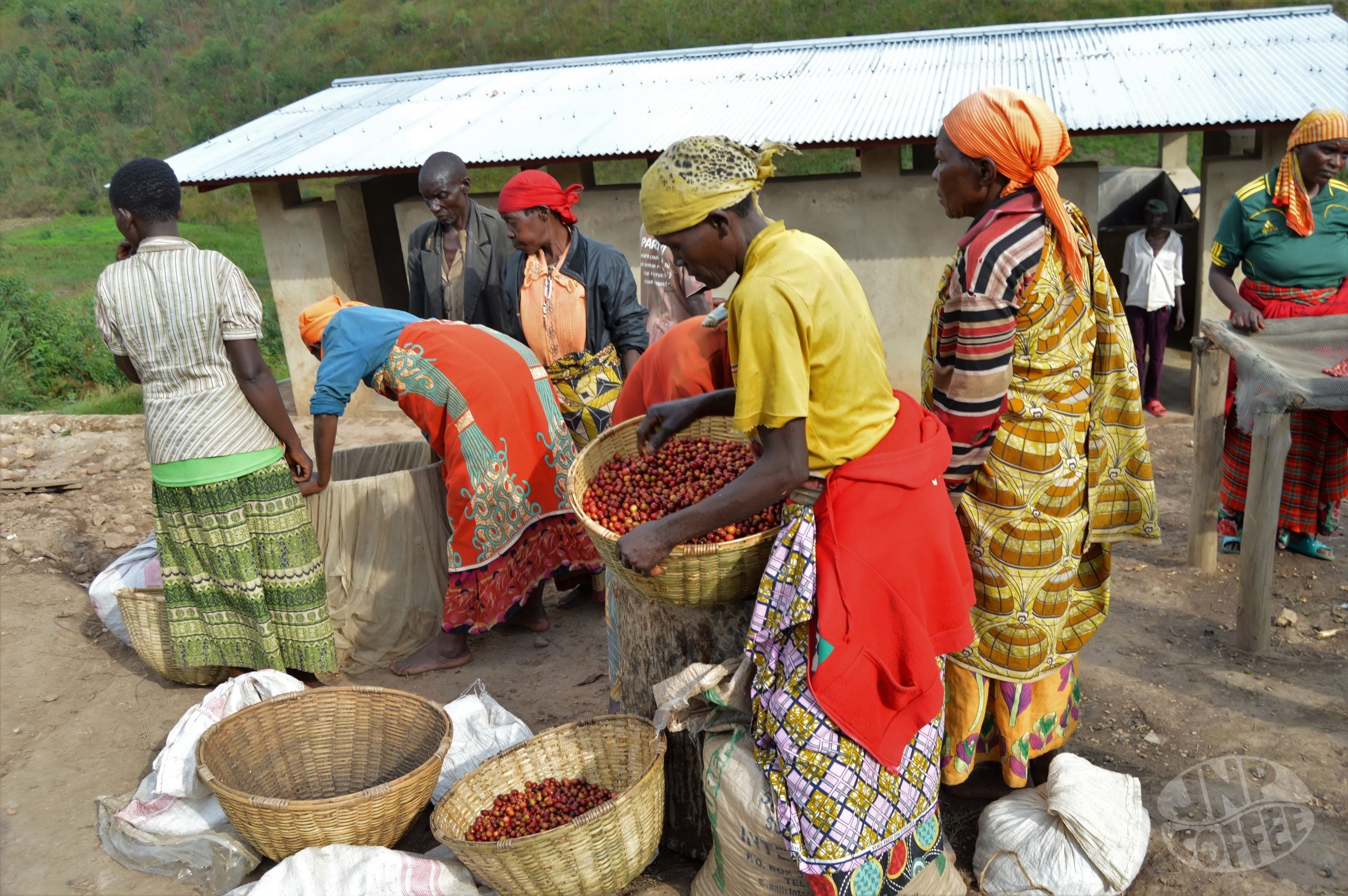 Turihamwe: Burundi's First Women-Owned Washing Station