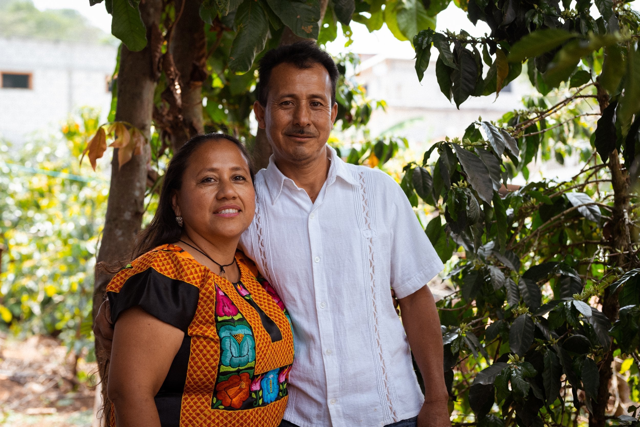 Finding Family in Coffee: Mexico Bella Vista Cifuentes Family
