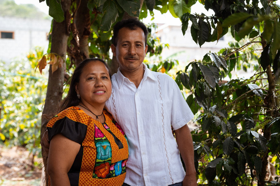 Driving 4x4s Through Lush Greenery and Red Soil: Our First Origin to Ethiopia & Our Latest Natural Coffee
