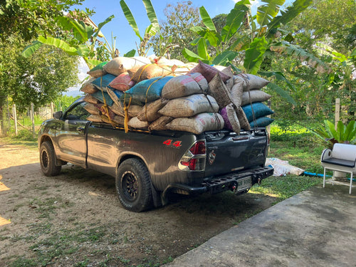 The Driving Force Behind Specialty Coffee in Thailand