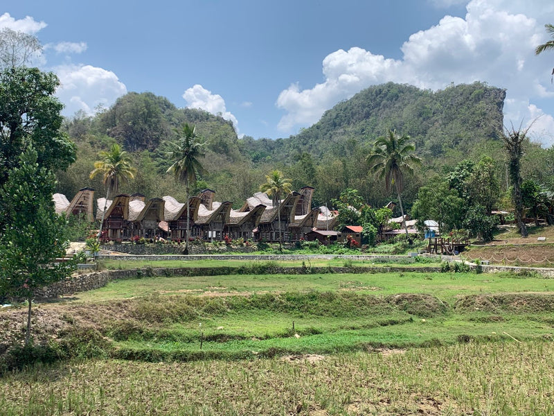 Three Years Later: Indonesia Natural Sulawesi Tana Toraja Bolokan