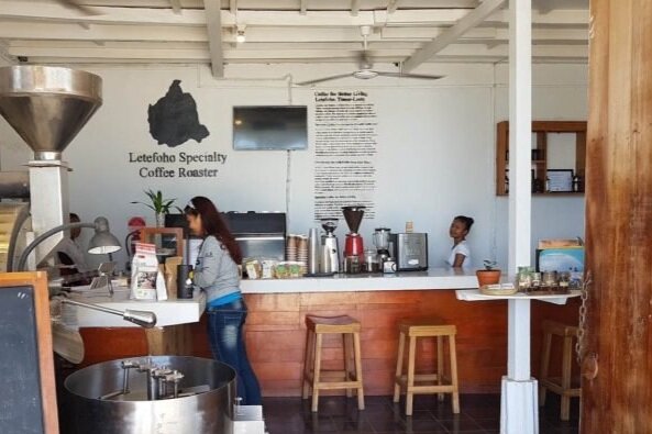 Fresh Coffee Arrival from Timor-Leste