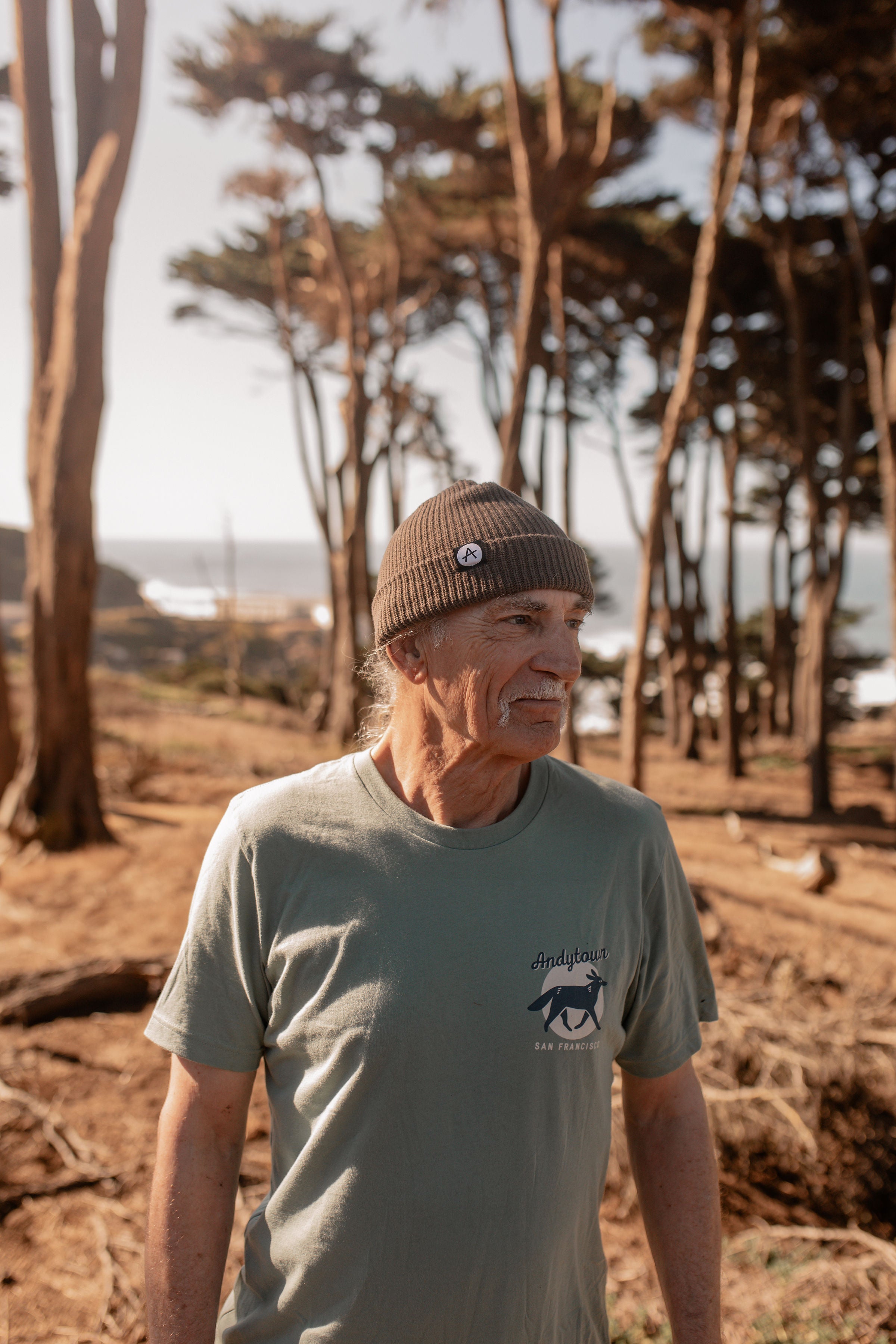 Andytown Circle Logo Beanie