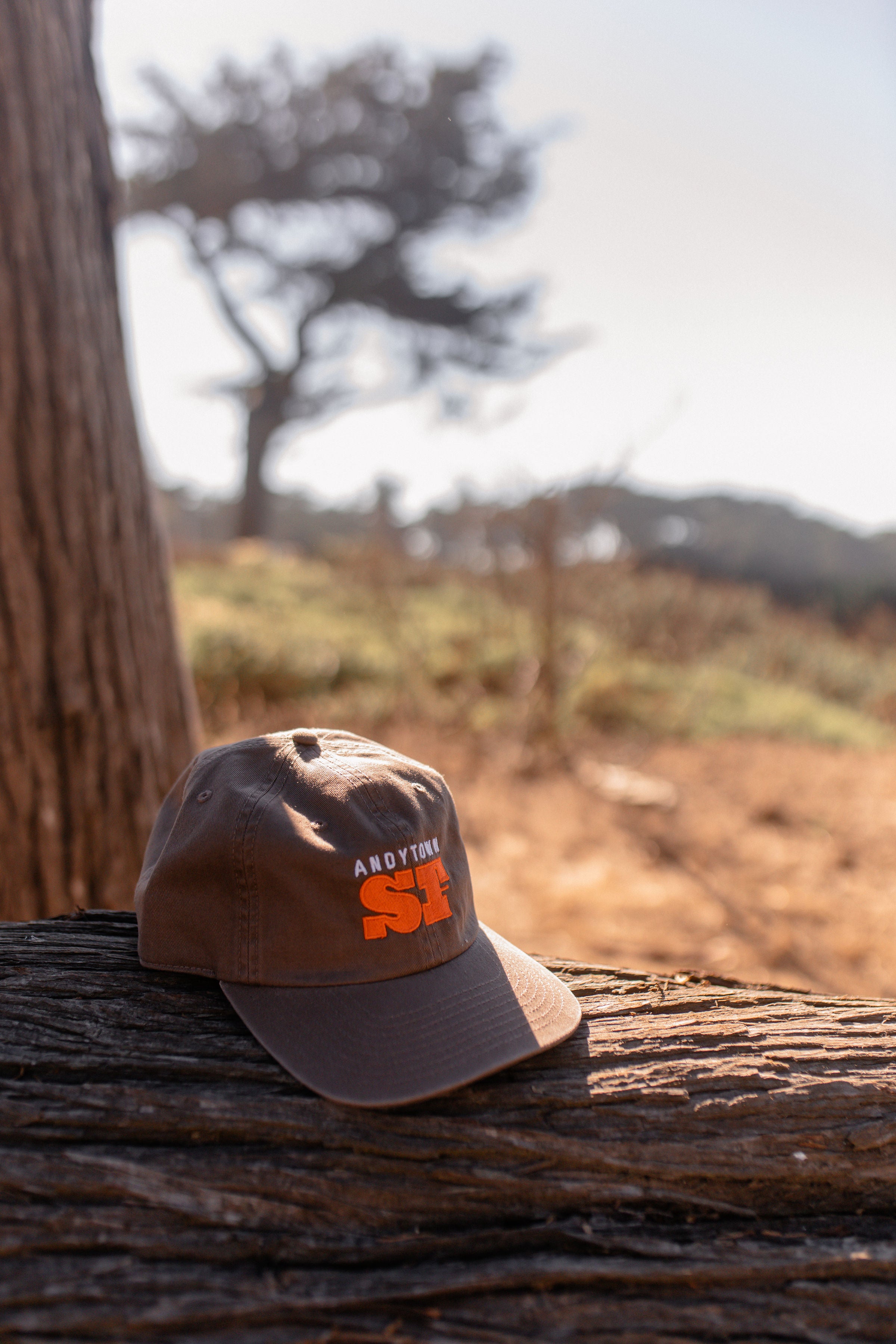 Andytown Throwback Muni Hat