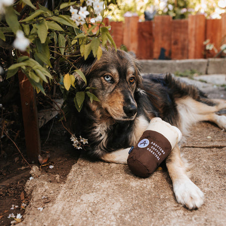 Introducing: The Snowy Plover Dog Toy