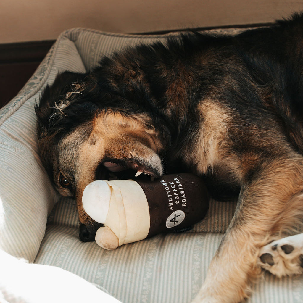 THE SNOWY PLOVER DOG TOY