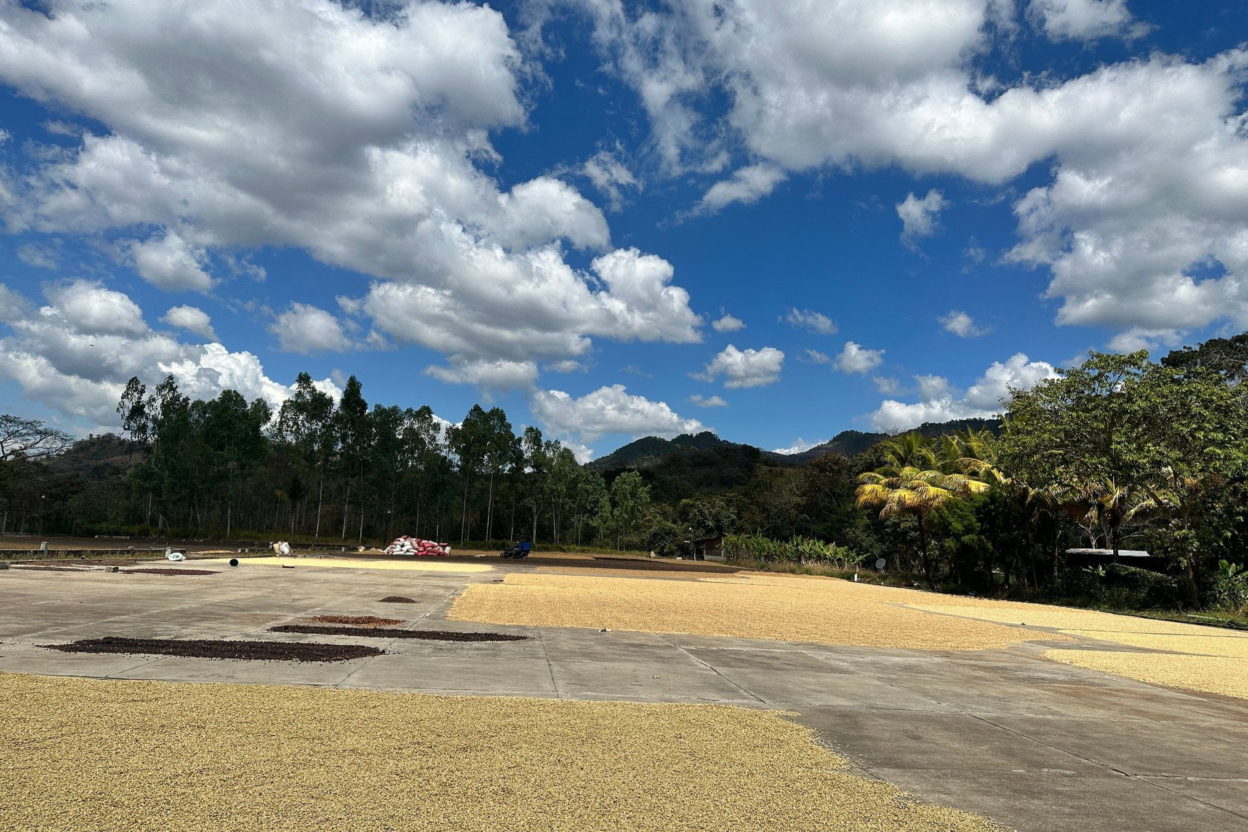 DECAF GUATEMALA ESQUIPULAS