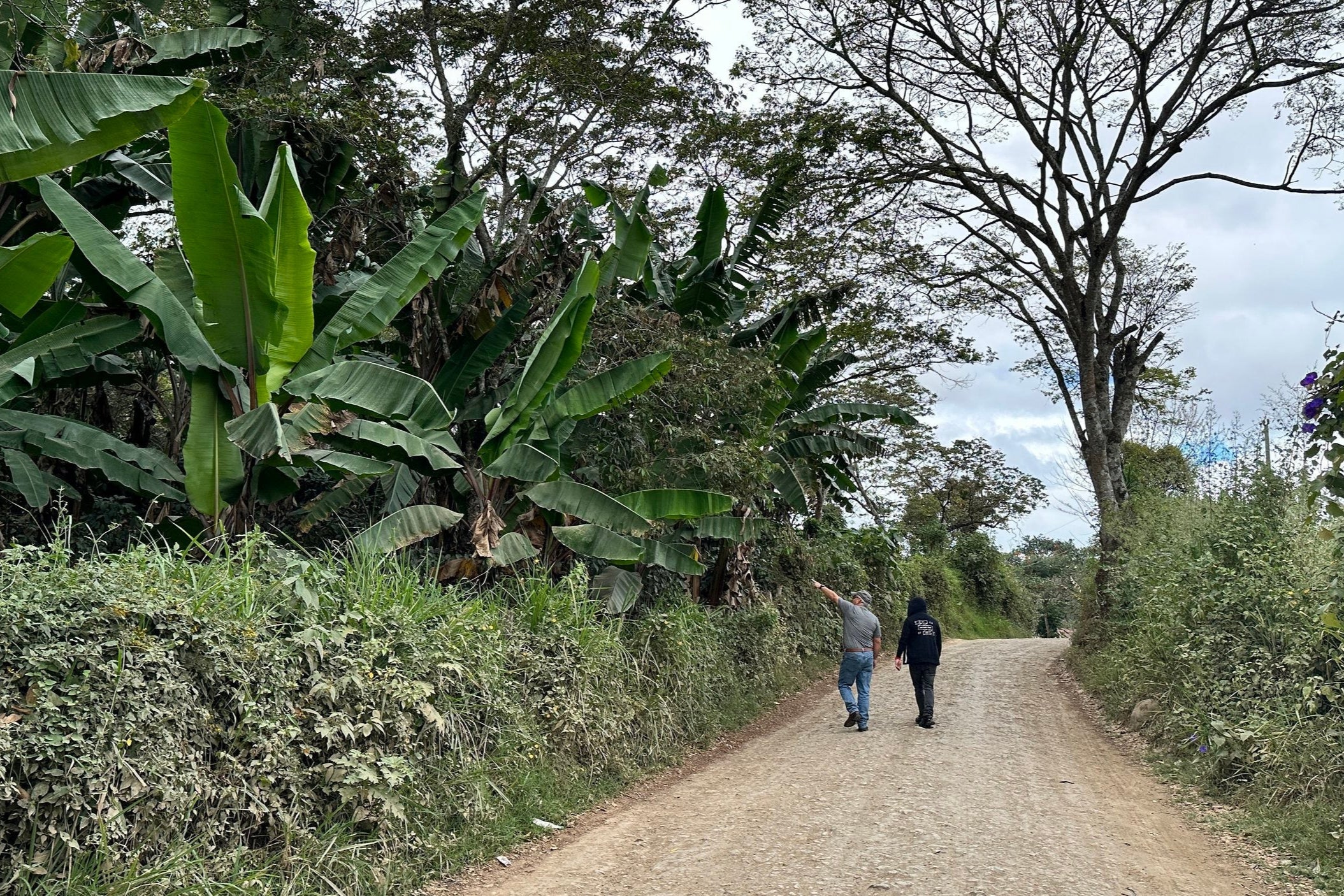 DECAF GUATEMALA ESQUIPULAS