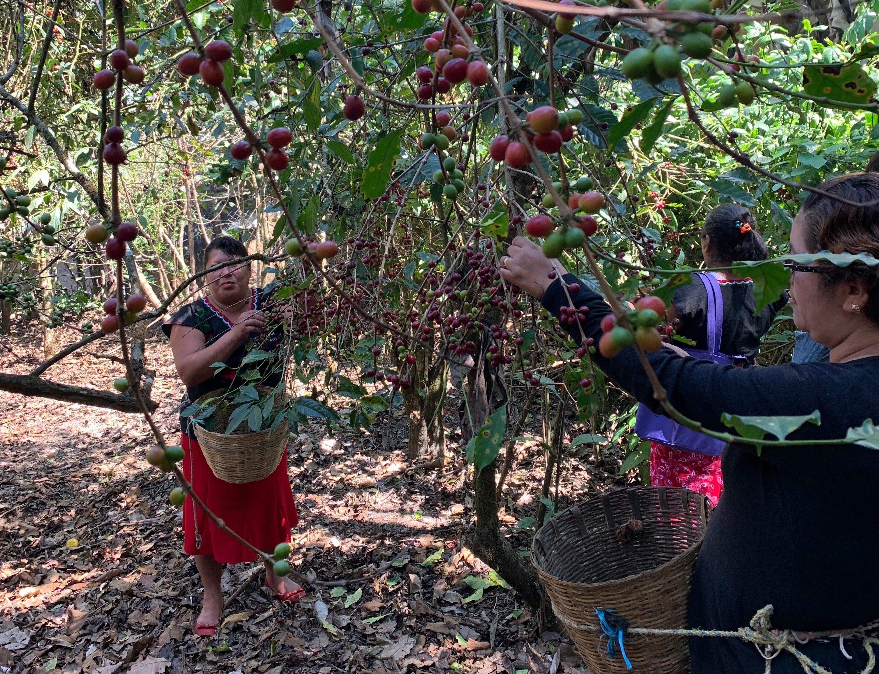 MEXICO BELLA VISTA WOMEN'S GROUP