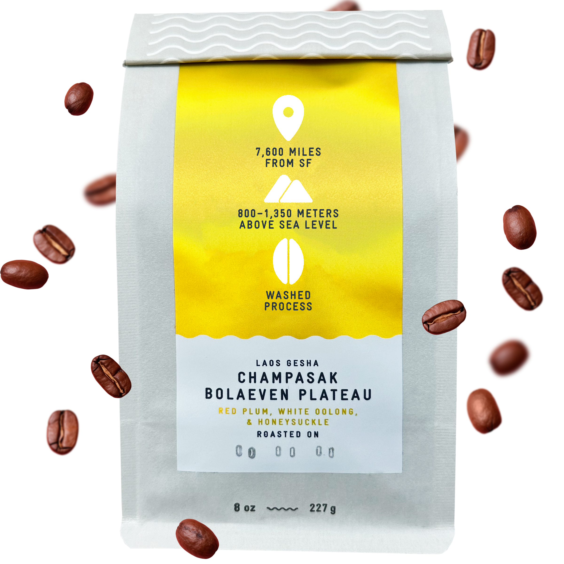 Laos Gesha Champasak Bolaven Plateau