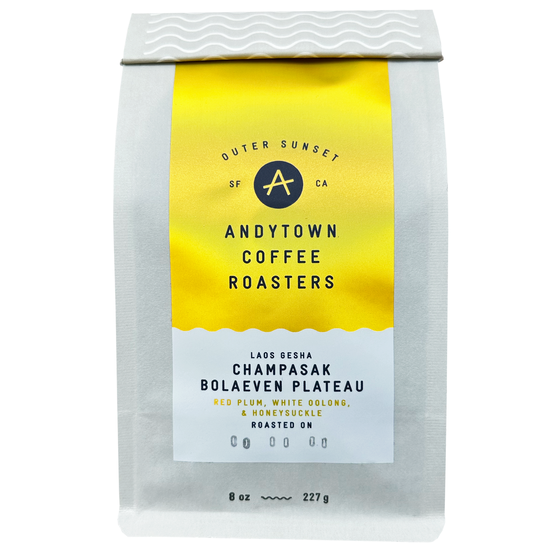 LAOS GESHA CHAMPASAK BOLAVEN PLATEAU – Andytown Coffee Roasters